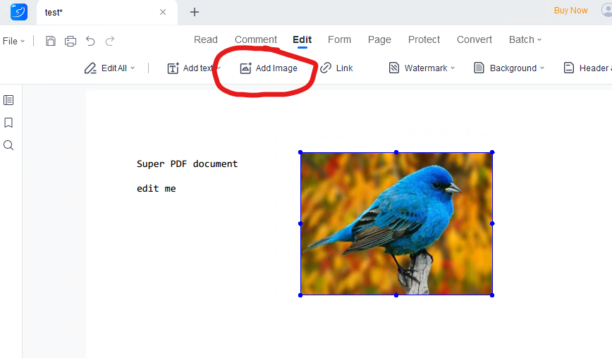Adding Images in LightPDF